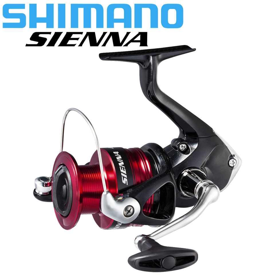 SHIMANO SIENNA Mulinello da pe - Daiwa Reel Bg recensione e prezzo